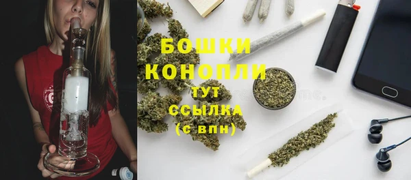 МДМА Ельня