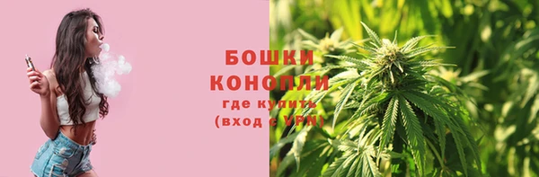 трава Елабуга
