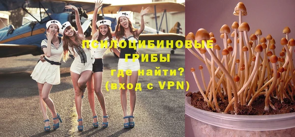 синтетический гашиш Елизово