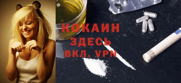 МДМА Ельня