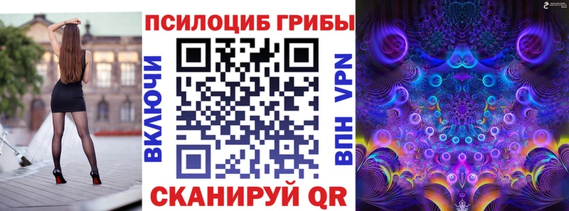 hydra   Мичуринск  Галлюциногенные грибы прущие грибы 